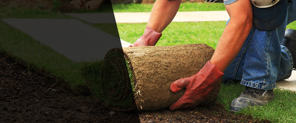 Colonial Beach Landscapers
